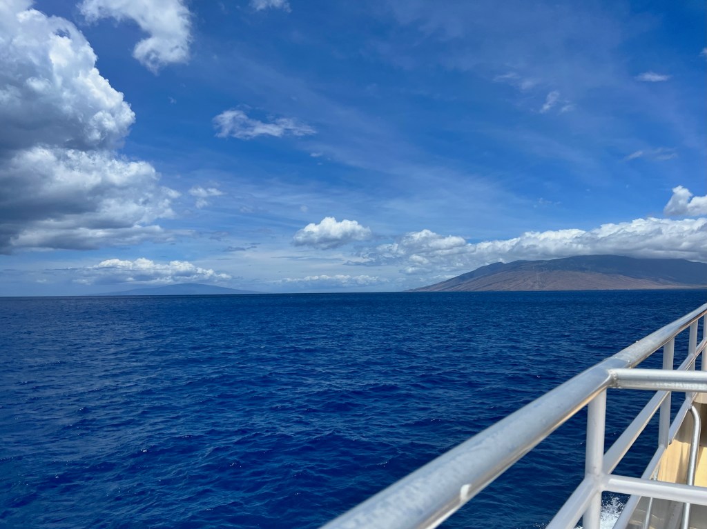 Day 2: Snorkeling at Molokini Crater & Turtle Hunting in Kapalua&nbsp;Bay
