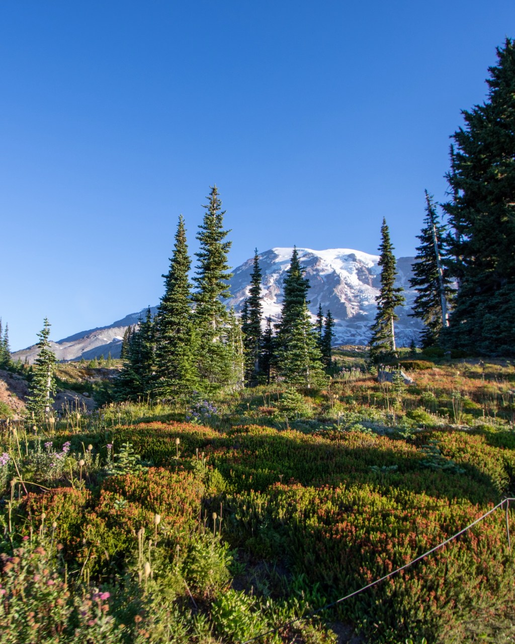 Hiking Through Paradise